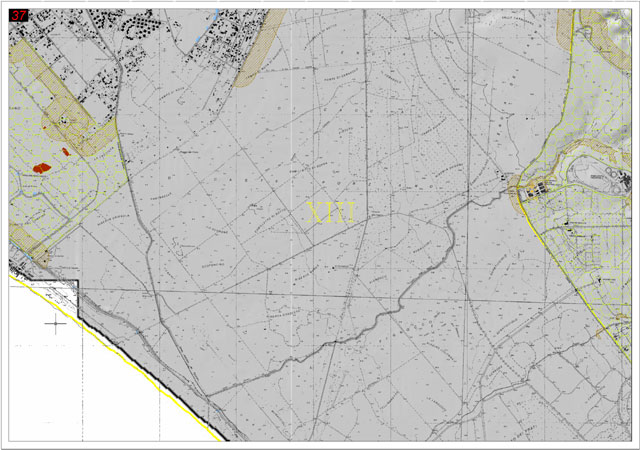 Apri PDF - Tavola 37