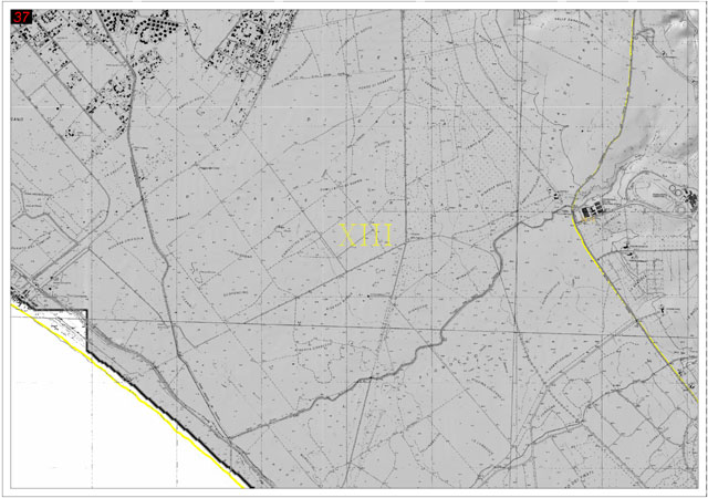 Apri PDF - Tavola 37